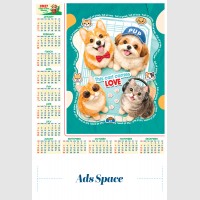 images/productimages/itemgallery/20260622144243/Board_layout-13 ads.jpg